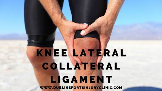 Knee Lateral Collateral Ligament